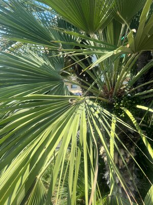 WhatsApp Image 2024-05-30 at 18.12.46